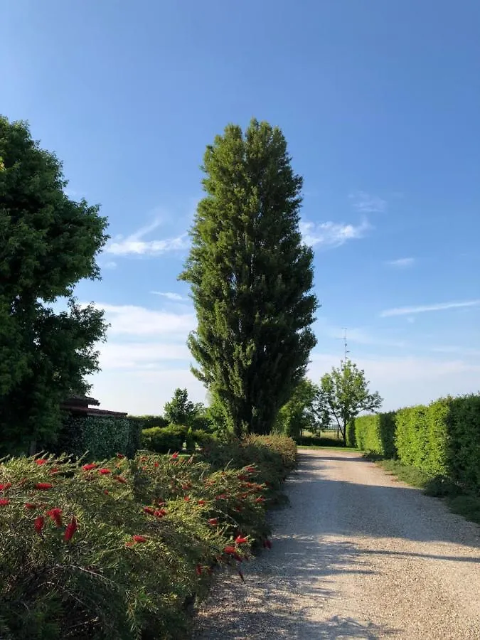 Via D' Este 8 Gualtieri